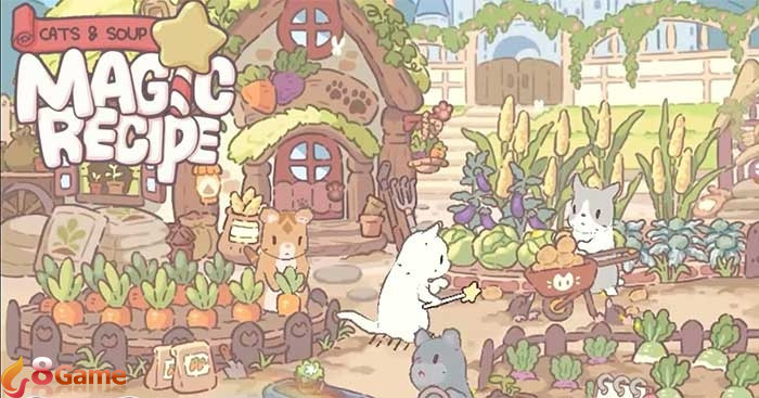 Code mèo và súp 1