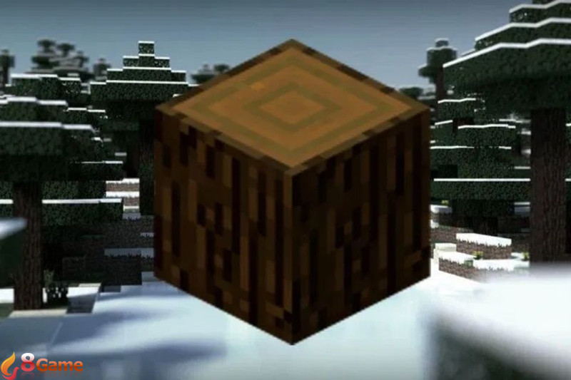 các loại gỗ trong minecraft (ảnh 4)