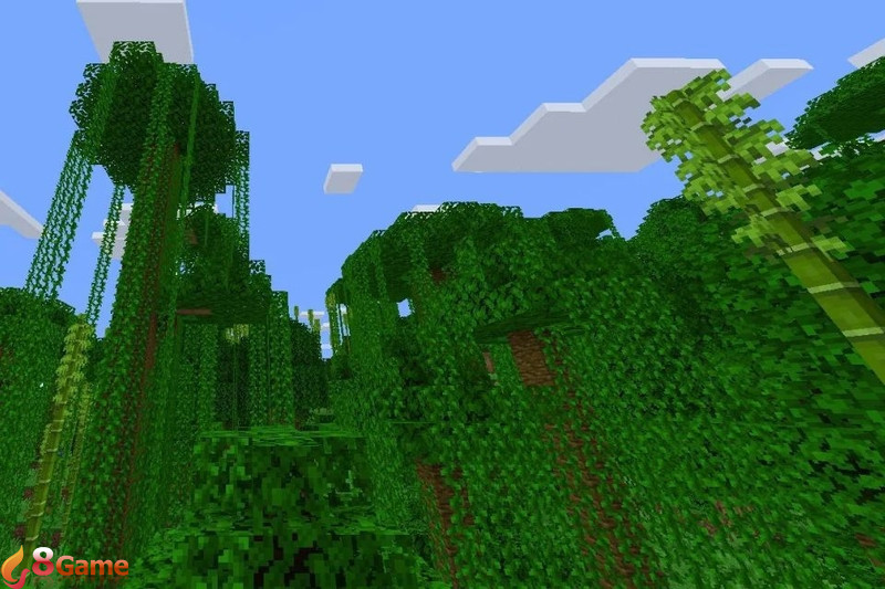 các loại gỗ trong minecraft (ảnh 5)