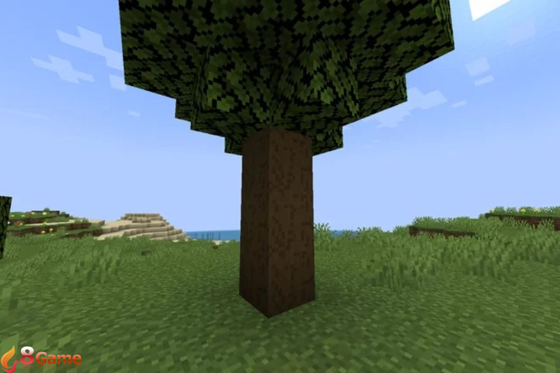 các loại gỗ trong minecraft (ảnh 6)