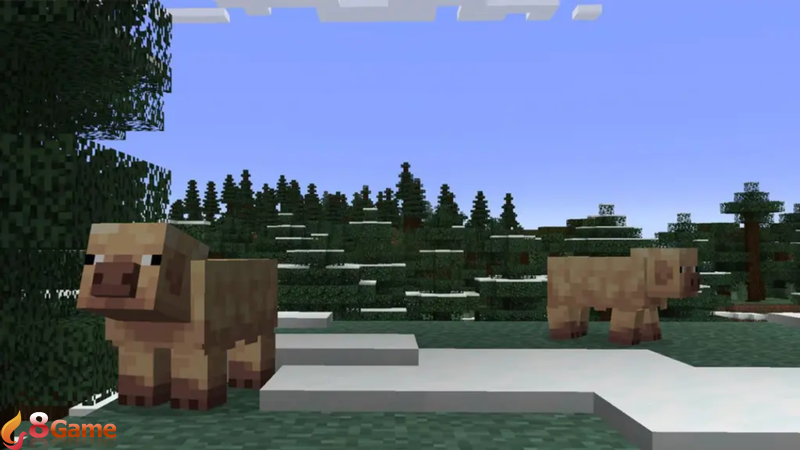 Con heo Minecraft hình 3.png