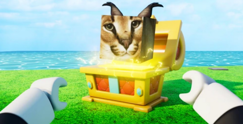 Những điều cần biết về Meme Fruits code