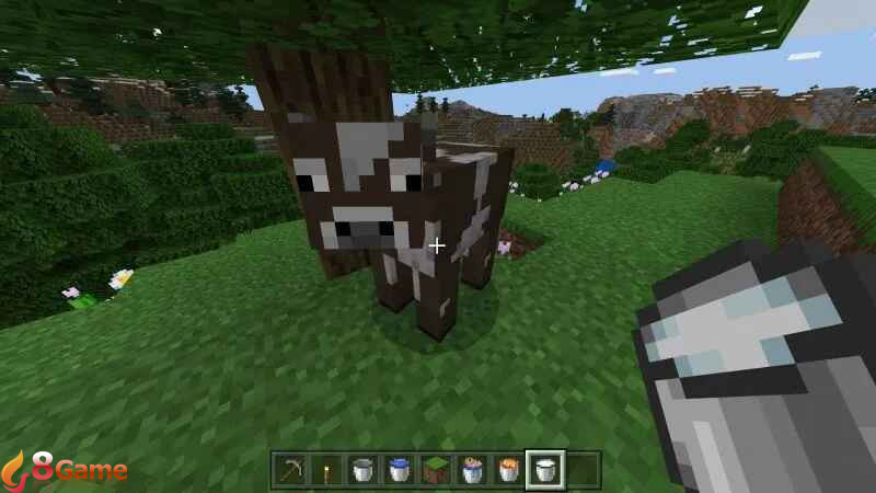 xô nước Minecraft hình 8