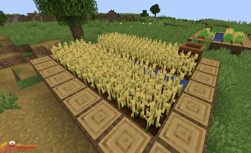 bò minecraft hình 5