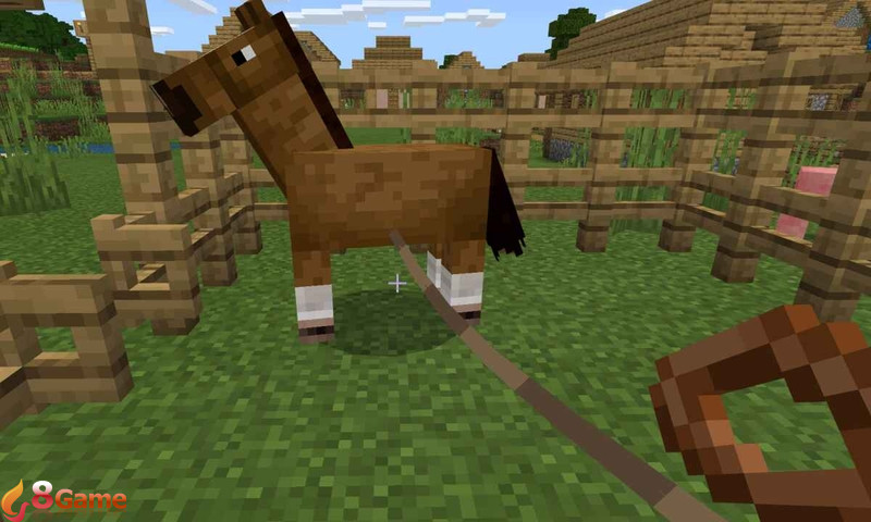 cách làm dây thừng trong Minecraft hình 6