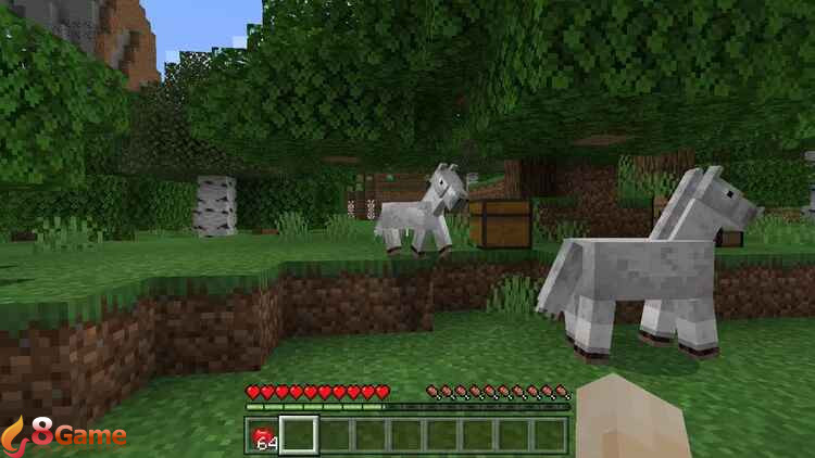 cách cưỡi ngựa trong Minecraft hình 6