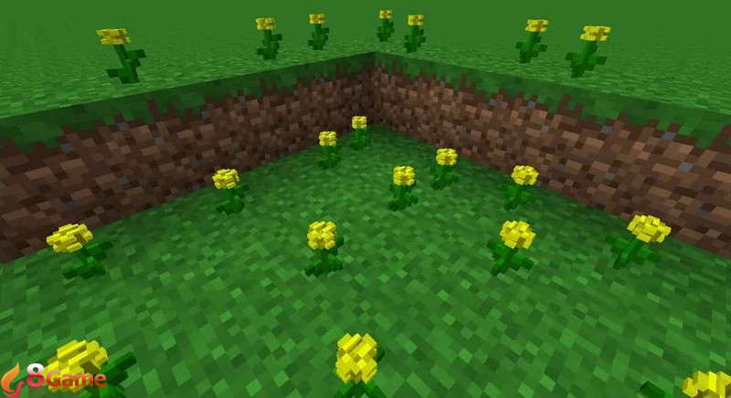 hoa Minecraft hình 2