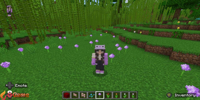 hoa Minecraft hình 5